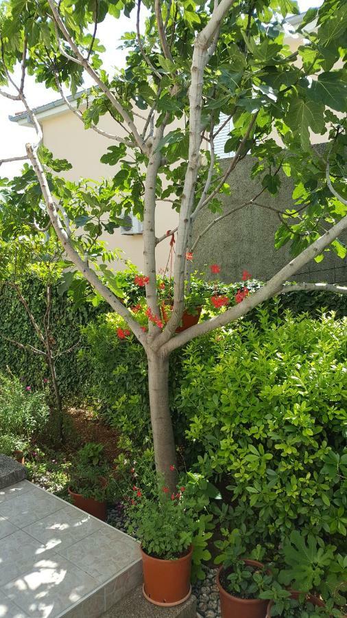 Guest House Dijana Krk Town Εξωτερικό φωτογραφία